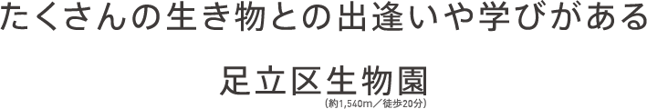 ̐Ƃ̏owт鑫搶i1,540^k20j