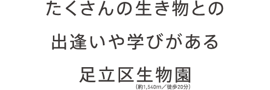 ̐Ƃ̏owт鑫搶i1,540^k20j