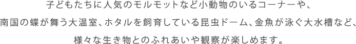 qǂɐlC̃bgȂǏ̂R[i[A썑̒剷Az^炵Ă鍩h[Aj吅ȂǁAlXȐƂ̂ӂꂠώ@y߂܂B