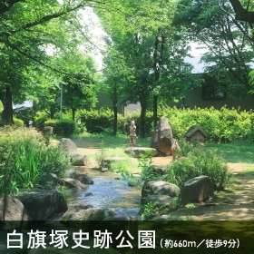 ˎjՌi660m^k9j