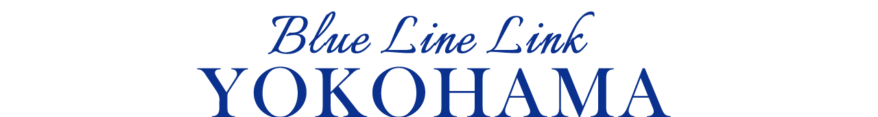 Blue Line Link