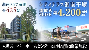 �V�e�B�e���X�Ó약��