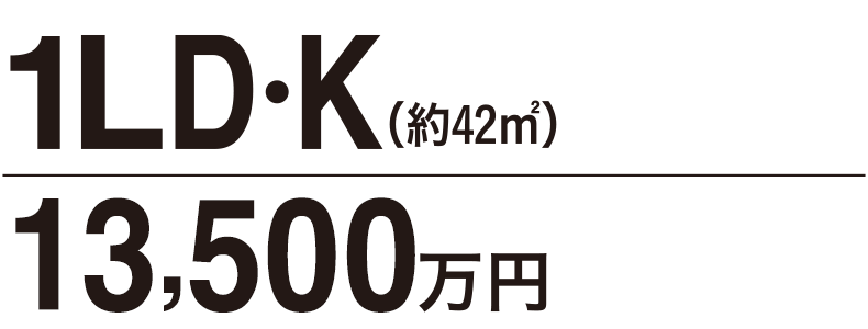 1LD・K（約42�u）11,500万円〜