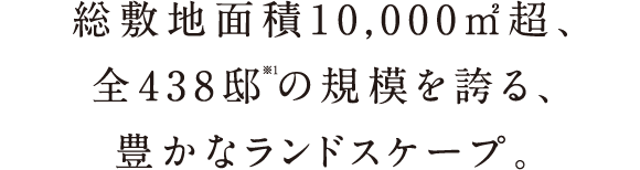 ~nʐ10,000uAS438@̋K͂ւALȃhXP[vB