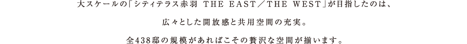 XP[́uVeBeXԉH THE EAST^THE WESTvڎŵ́ALXƂJƋpԂ̏[BS438@̋K͂΂ґȋԂ܂B