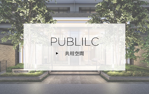 PUBLIC