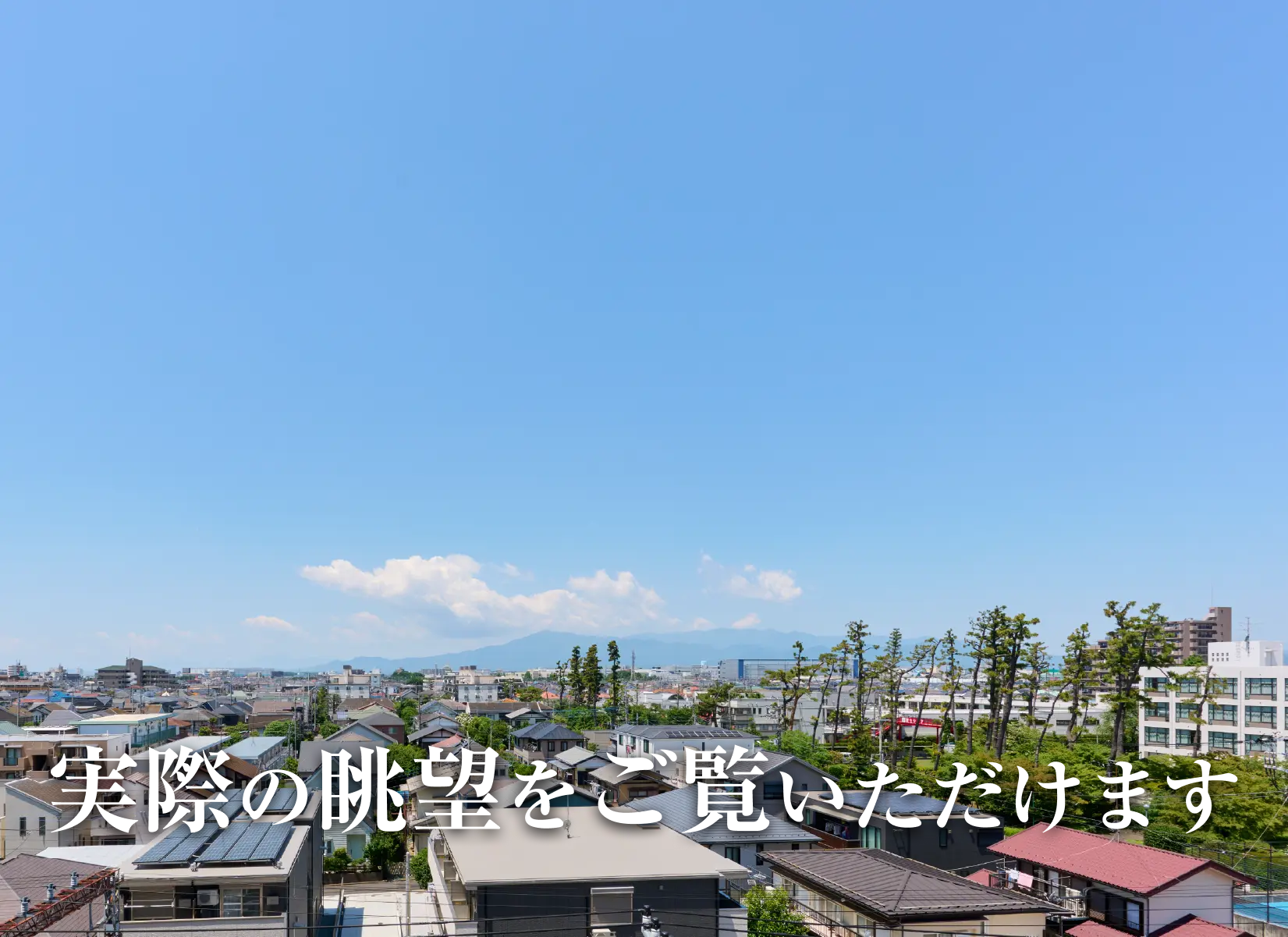 �s�s�̗]�C�̒��ŁA�C�Ƌ��������V�[�T�C�h