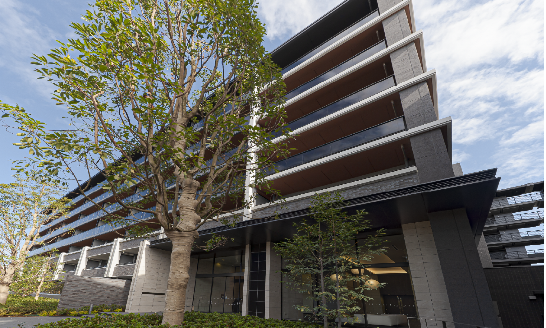 �O�Ϗv�H�ʐ^(2025�N11���B�e)