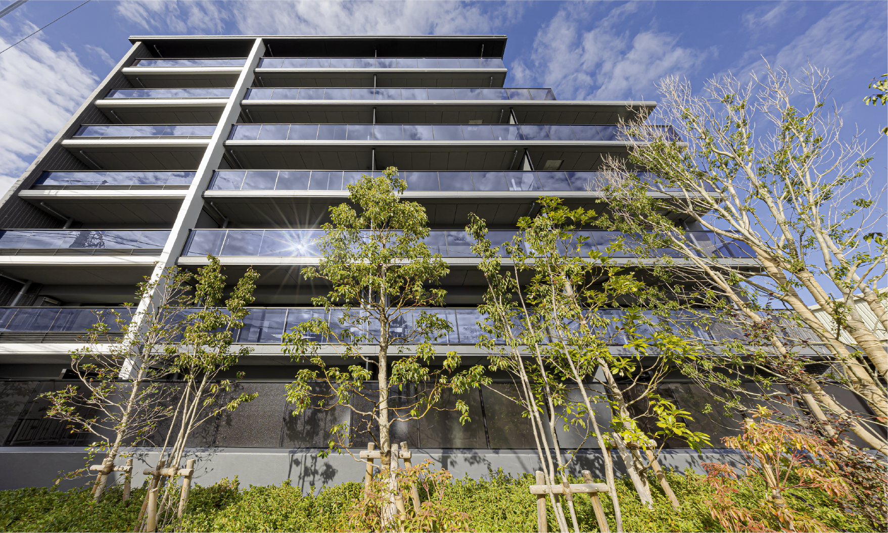 �O�Ϗv�H�ʐ^(2025�N11���B�e)