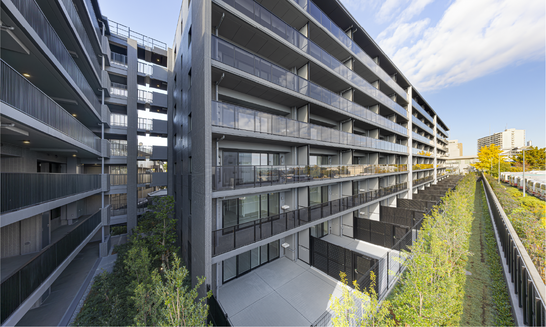 �O�Ϗv�H�ʐ^(2025�N11���B�e)