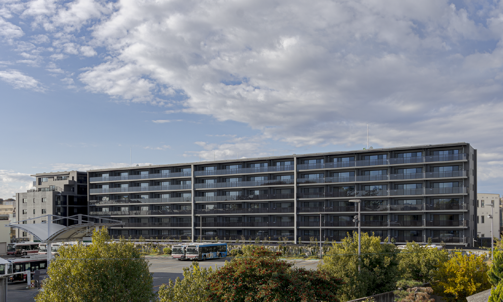 �O�Ϗv�H�ʐ^(2025�N11���B�e)