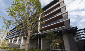 �O�Ϗv�H�ʐ^(2025�N11���B�e)