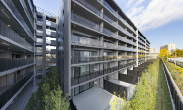 �O�Ϗv�H�ʐ^(2025�N11���B�e)