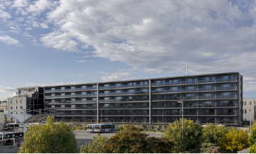 �O�Ϗv�H�ʐ^(2025�N11���B�e)