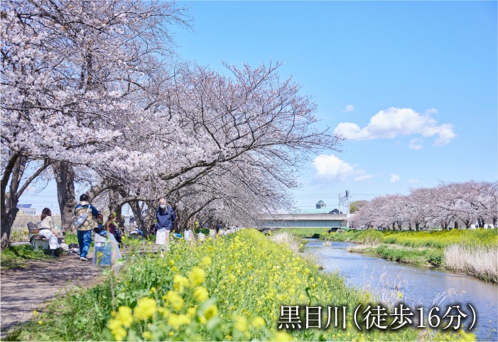黒目川(徒歩16分)