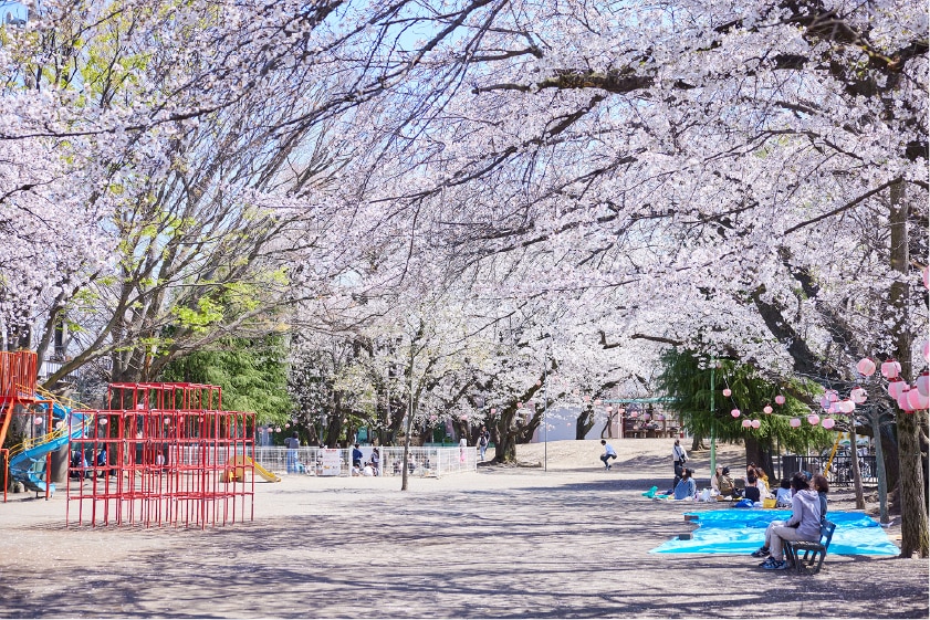 image photo 空港
