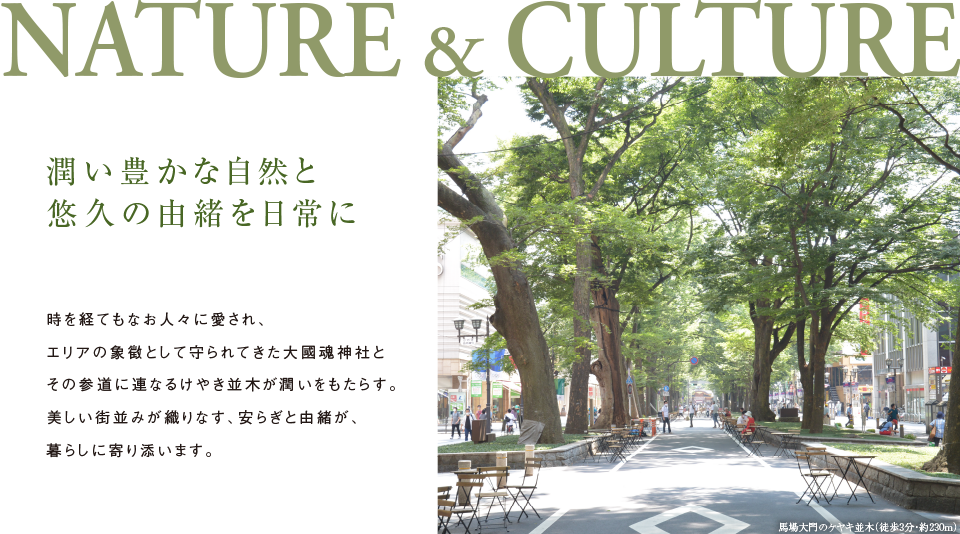 NATURE & CULTURE　潤い豊かな自然と悠久の由緒を日常に 時を経てもなお人々に愛され、エリアの象徴として守られてきた大國魂神社とその参道に連なるけやき並木が潤いをもたらす。美しい街並みが織りなす、安らぎと由緒が、暮らしに寄り添います。