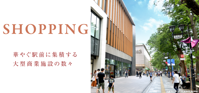 SHOPPING