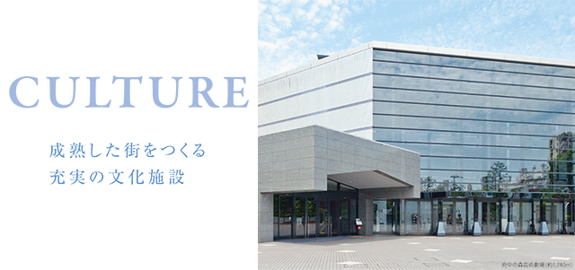 CULTURE@nX[̕{