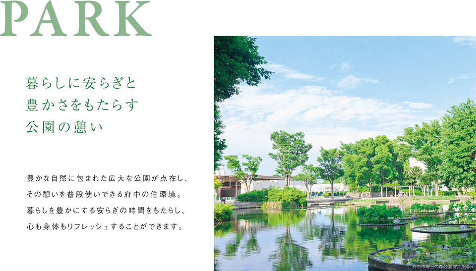 PARK@炵Ɉ炬ƖL炷̌e LȎRɕ܂ꂽLȌ_݂Ǎe𕁒igł{̏ZB炵Lɂ炬̎Ԃ炵ASĝtbV邱Ƃł܂B