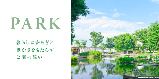 PARK@炵Ɉ炬ƖL炷̌e