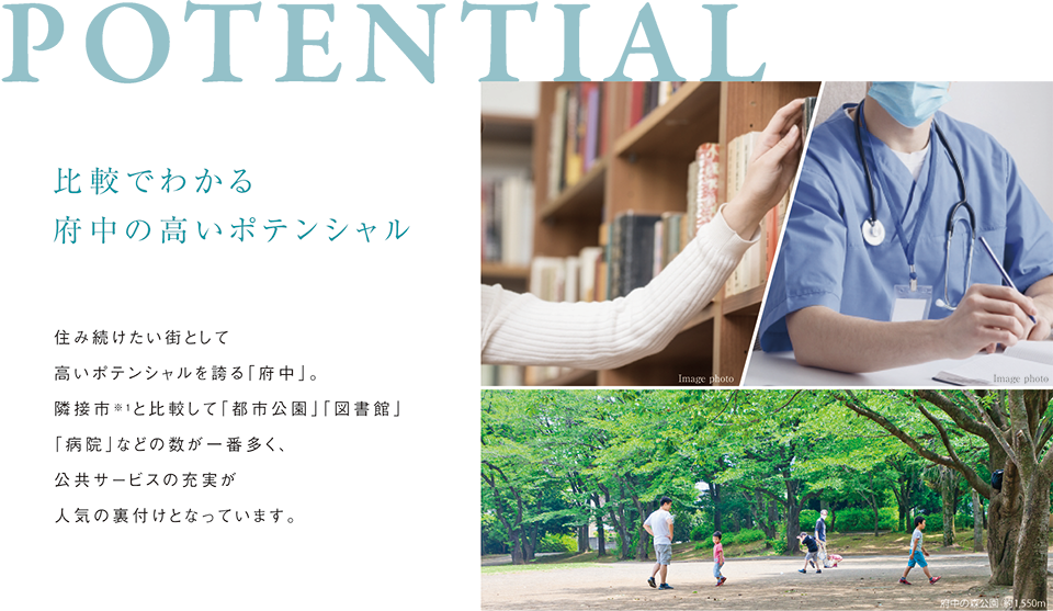 POTENTIAL@rł킩{̍|eV ZݑXƂč|eVւu{vBאڎs1Ɣrāussvu}فvua@vȂǂ̐ԑAT[rX̏[lC̗tƂȂĂ܂B