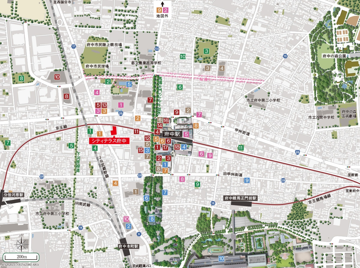 LIFE INFORMATION MAP