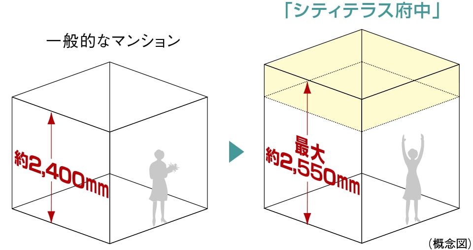 Qlʐ^ V䍂C[W