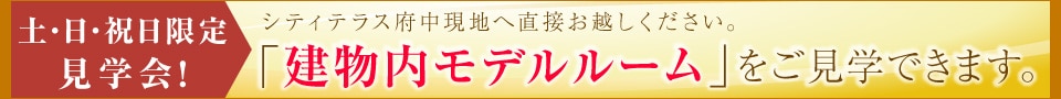 �y�E���E�j���͌��n�ɂāu���������f�����[���v�������w�ł��܂�