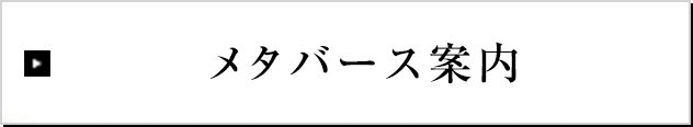 メタバース案内