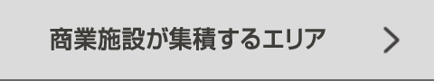 商業施設が集積するエリア