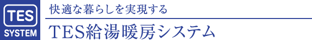 TESg[VXe
