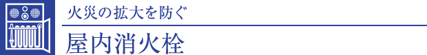 ΐ