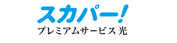 XJp[I/v~AT[rX