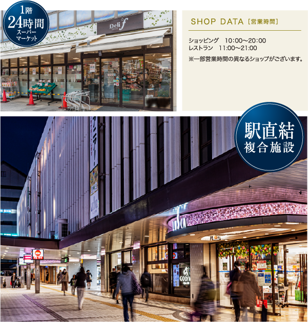 ���X�J����