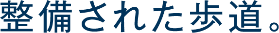 ꂽB