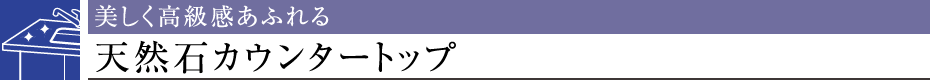 ӂVR΃JE^[gbv