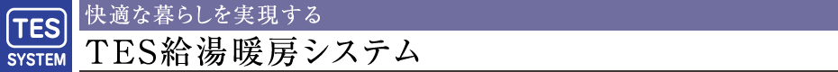 Kȕ炵TESg[VXe