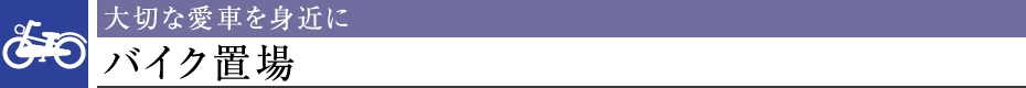 ؂ȈԂg߂ɃoCNu