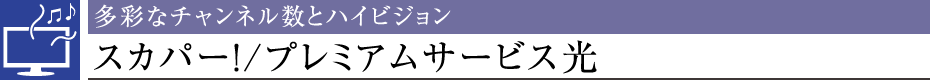 ʂȃ`lƃnCrWXJp[I/v~AT[rX