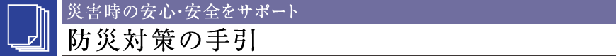 ЊQ̈SEST|[ghБ΍̎