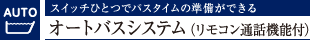 XCb`ЂƂŃoX^C̏łI[goXVXeiRʘb@\tj