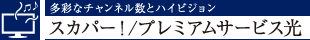 ʂȃ`lƃnCrWXJp[I/v~AT[rX