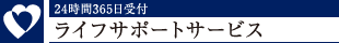 24365tCtT|[gT[rX