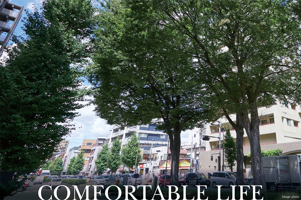 COMFORTABLE LIFE