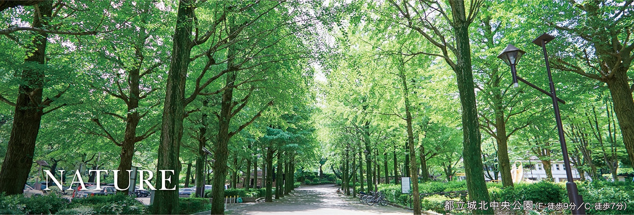 NATURE