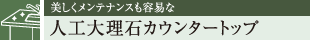 eiXeՂ lH嗝΃JE^[gbv
