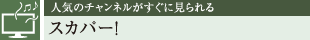 lC̃`lɌ XJp[I