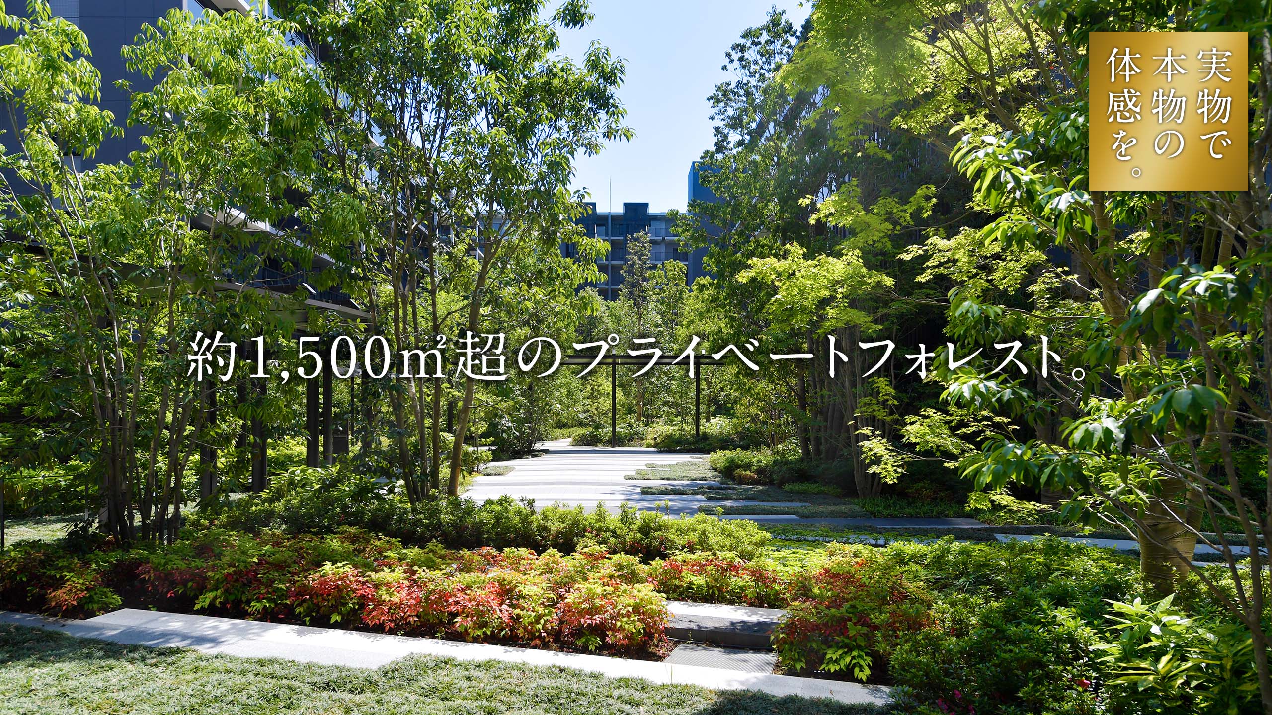1,500ũvCx[gtHXgB