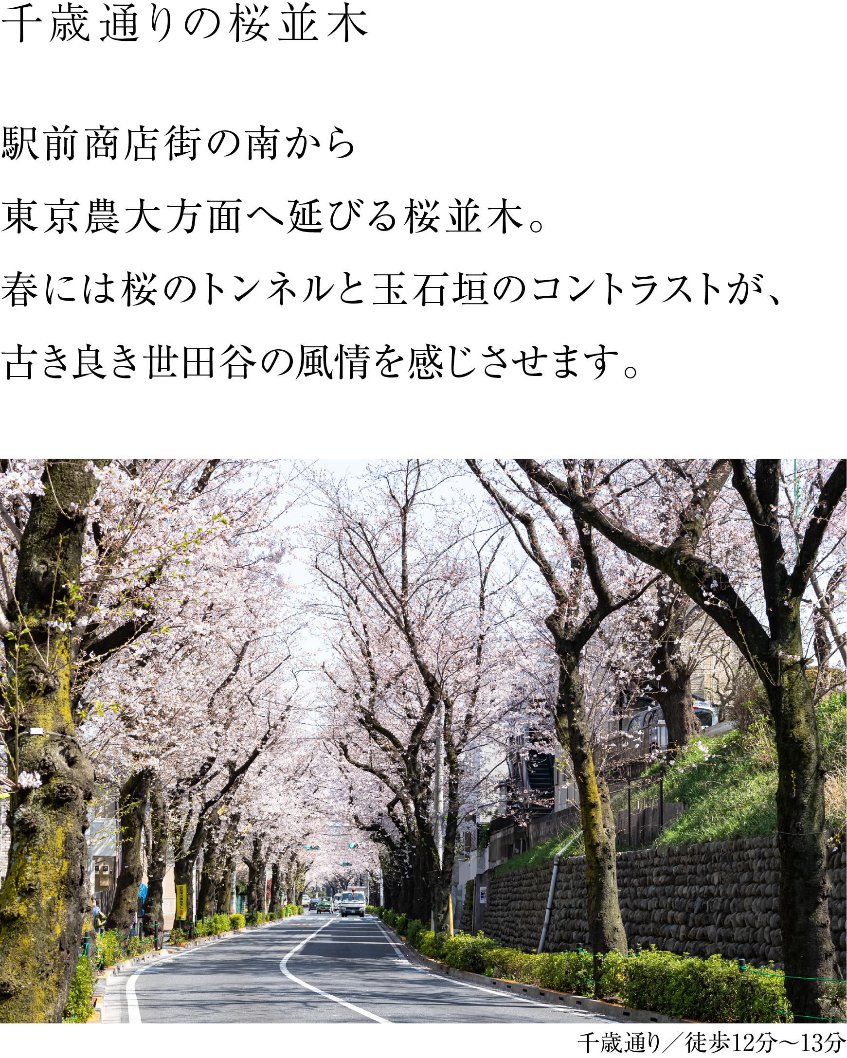 ꂼɌAʂȌ̃tB[hɁB